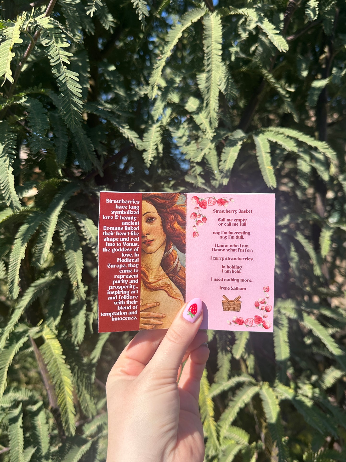 Strawberry Zine
