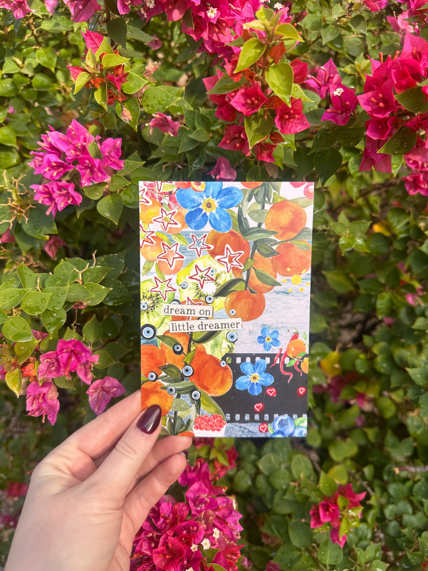 Dream On Postcard