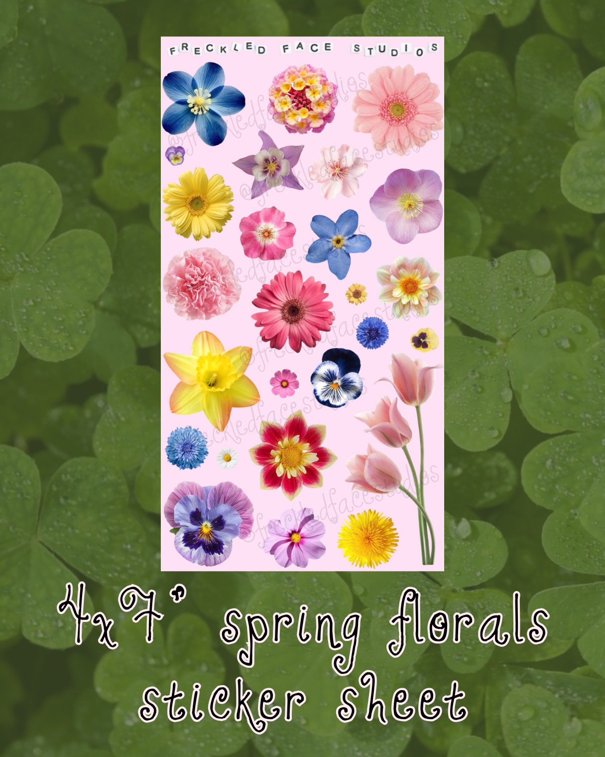 the complete spring edit collection